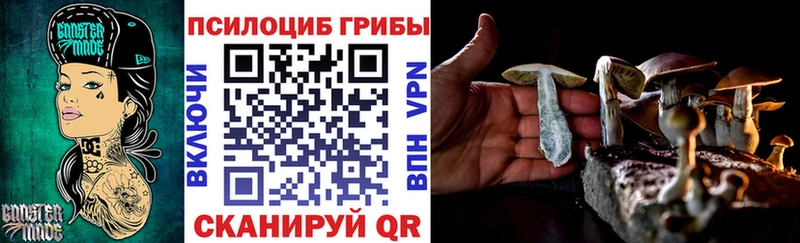 Псилоцибиновые грибы Magic Shrooms  Цоци-Юрт 